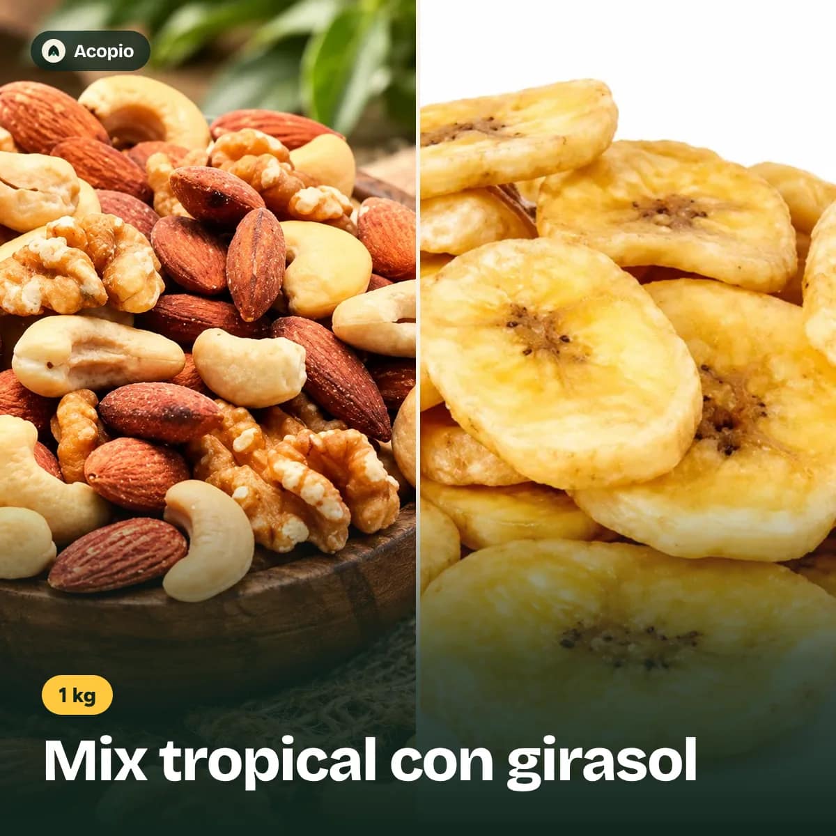Mix Tropical con girasol x 1 kg